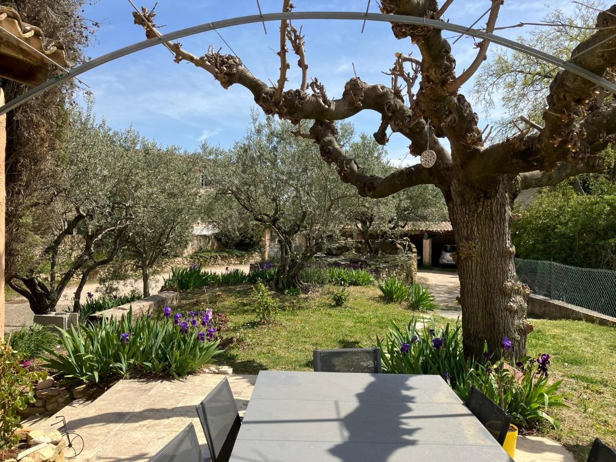 Chambre Avec Petit-Dejeuner En Provence Luberon La Tour-d'Aigues Ngoại thất bức ảnh